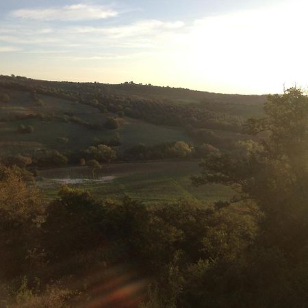Le Tartarughe Rooms Magliano in Toscana Eksteriør billede