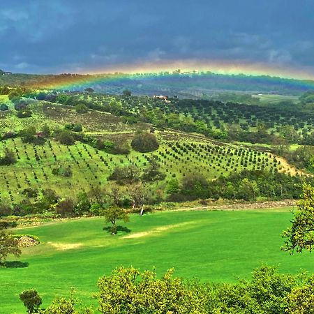 Le Tartarughe Rooms Magliano in Toscana Eksteriør billede