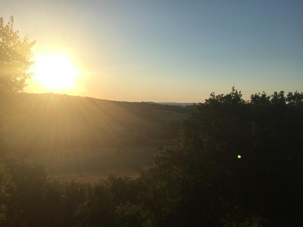 Le Tartarughe Rooms Magliano in Toscana Eksteriør billede