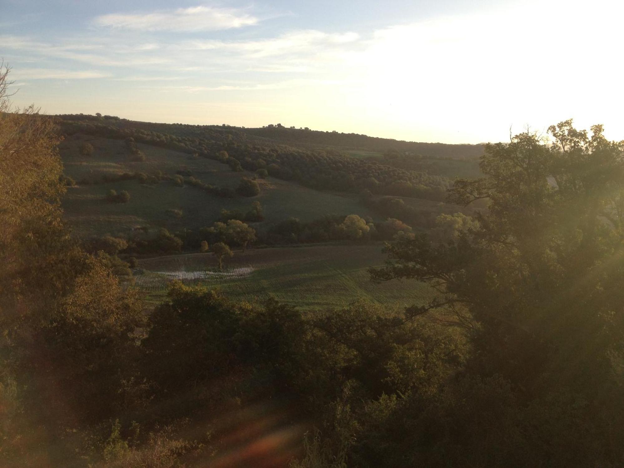 Le Tartarughe Rooms Magliano in Toscana Eksteriør billede