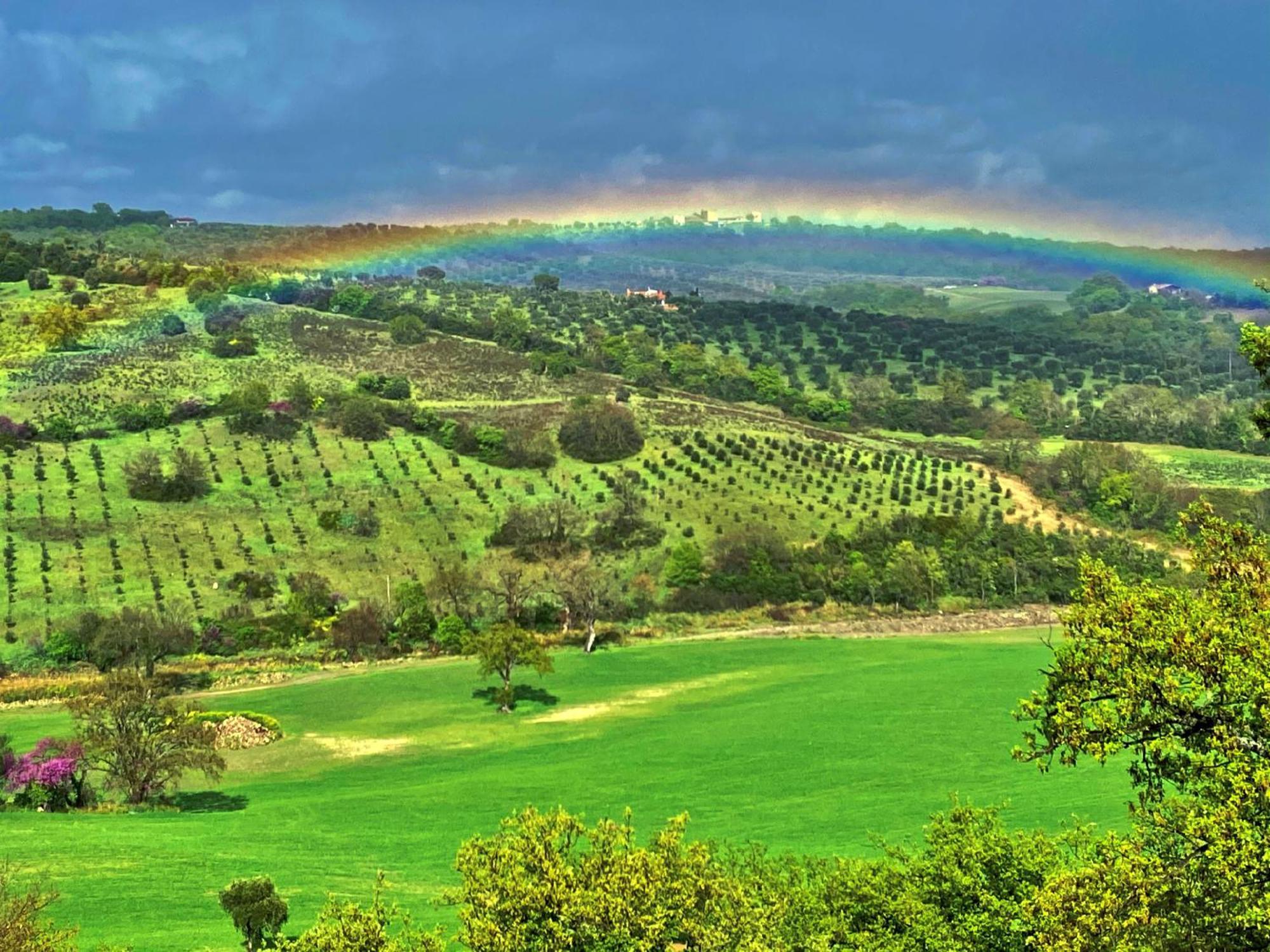 Le Tartarughe Rooms Magliano in Toscana Eksteriør billede