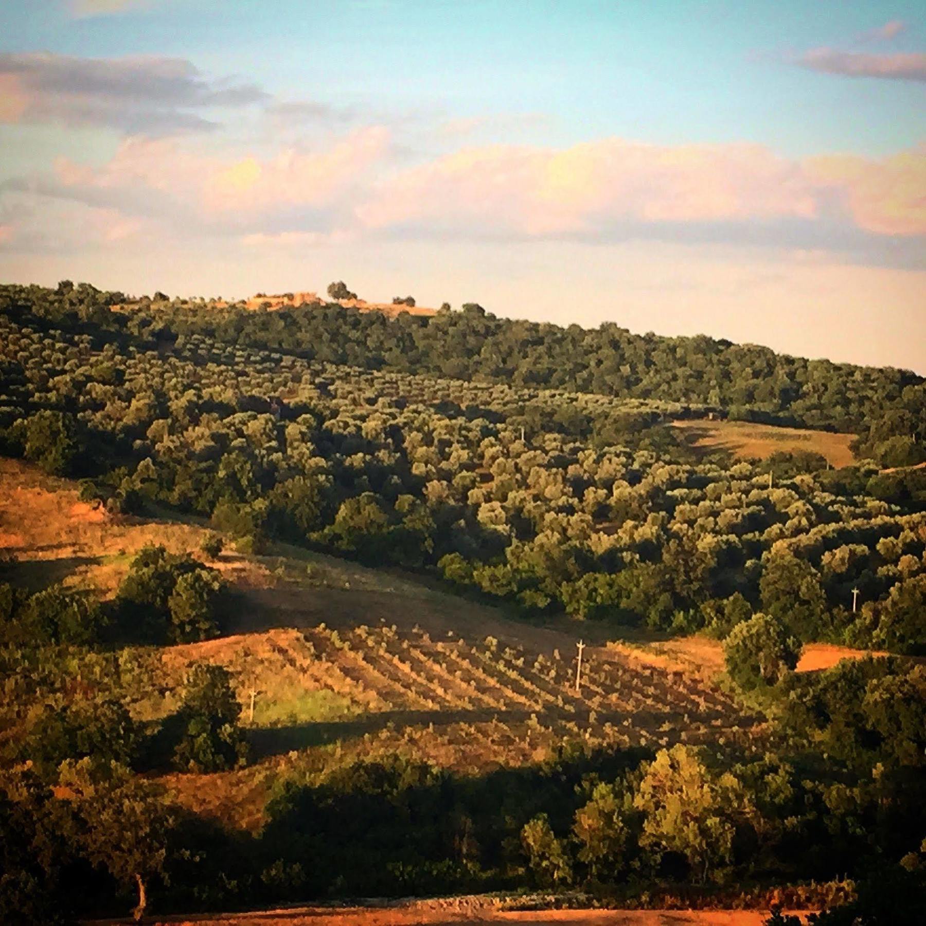 Le Tartarughe Rooms Magliano in Toscana Eksteriør billede