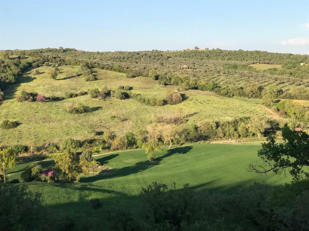 Le Tartarughe Rooms Magliano in Toscana Eksteriør billede