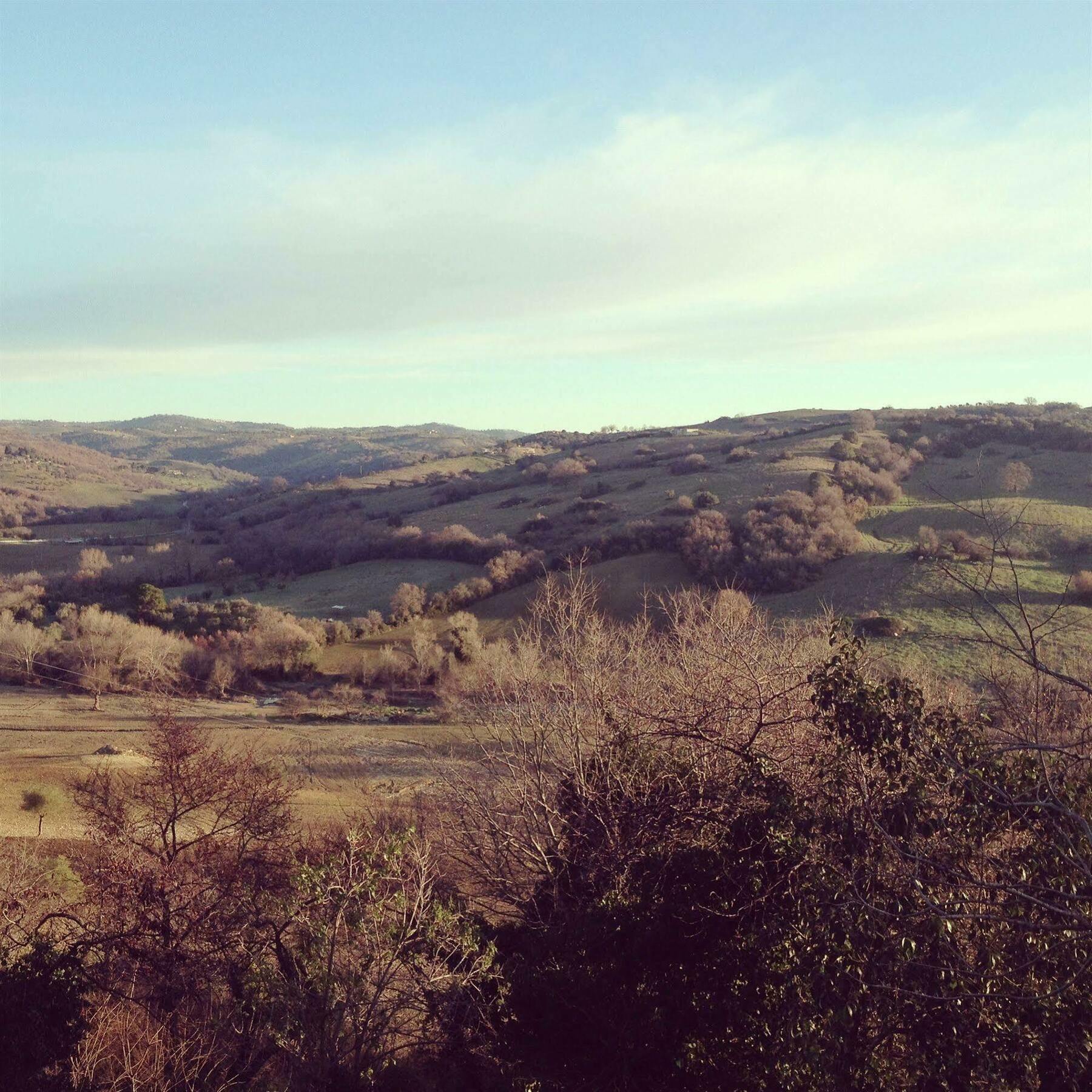 Le Tartarughe Rooms Magliano in Toscana Eksteriør billede